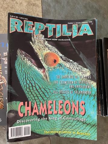 Collectie tijdschriften Reptilia (UK) 1998-2012 beschikbaar voor biedingen
