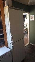 Koelkast met diepvries (koel-vriescombinatie), Gebruikt, Met aparte vriezer, 45 tot 60 cm, 160 cm of meer