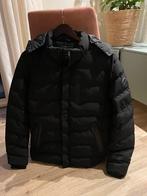 Winterjas Cars Zwart Maat M, Ophalen of Verzenden, Zo goed als nieuw, Zwart