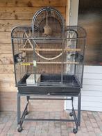 vogelkooi, Dieren en Toebehoren, Ophalen, Zo goed als nieuw, Metaal, Vogelkooi