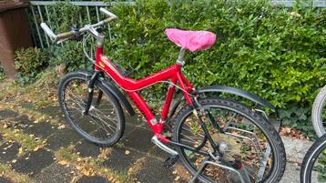 Gazelle Mountainbike - Klassieker! beschikbaar voor biedingen