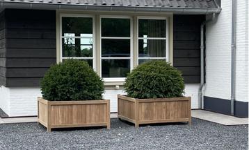 Exclusieve Plantenbakken en Terraspotten beschikbaar voor biedingen