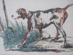 Jachthond - antieke gravure, Ophalen of Verzenden