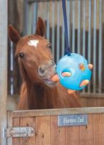 2x Wortel bal paard Shires, Dieren en Toebehoren, Ophalen of Verzenden, Zo goed als nieuw