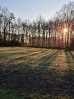 Binnenbox vrij voor paard.