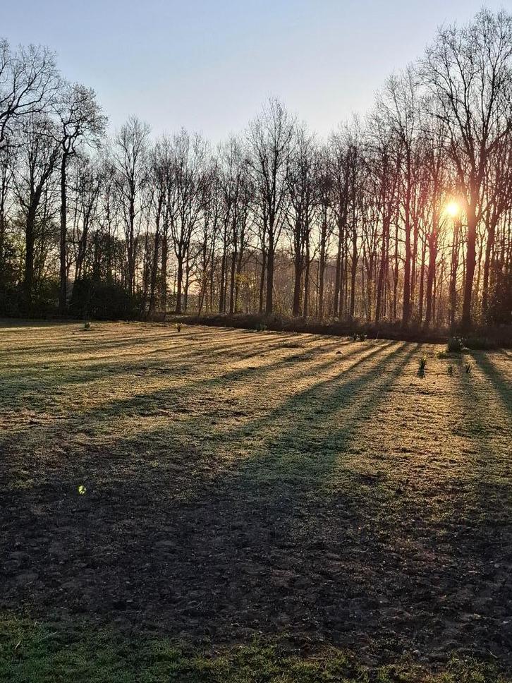 Binnenbox vrij voor paard., Dieren en Toebehoren, Stalling en Weidegang