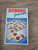 Domino Junior - Leuk en Leerzaam!, Ophalen of Verzenden, Zo goed als nieuw, Jongen of Meisje