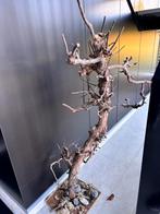 Boomstam decoratie, Ophalen, Gebruikt