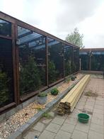 Tekoop en gezocht Europese vogels of ruilen, Dieren en Toebehoren, Vogels | Overige Vogels, Meerdere dieren, Wildzangvogel, Geringd