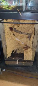 Exo terra 60x45x90 Terrarium hobby bak, Ophalen, Gebruikt, Terrarium of Paludarium