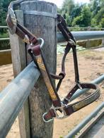 Western halster kleine pony, Dieren en Toebehoren, Paarden en Pony's | Hoofdstellen en Tuigage, Ophalen, Gebruikt, Western
