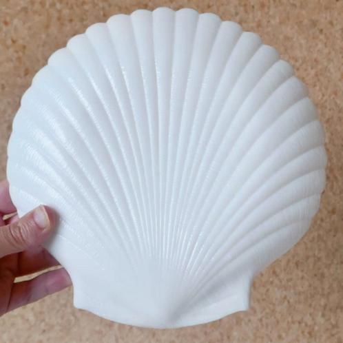 Schelpvormig bord Arcoroc, Huis en Inrichting, Keuken | Servies, Zo goed als nieuw, Bord(en), Overige stijlen, Glas, Ophalen of Verzenden