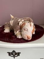 Reborn pup, Verzamelen, Poppen, Ophalen of Verzenden