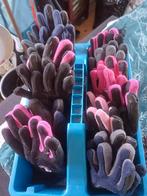 12 paar winter kinderhanschoenen voor paardrijden, Ophalen of Verzenden, Overige typen