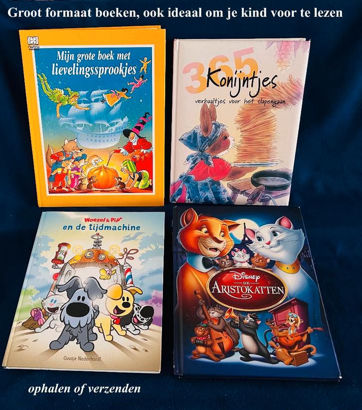 4x Groot Boek € 20 Of € 7,50 p/s Kinderboek Voorlezen, Boeken, Kinderboeken | Jeugd | onder 10 jaar, Zo goed als nieuw, Fictie algemeen