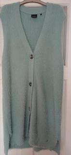 Poools lang gilet maat 44, Maat 42/44 (L), Ophalen of Verzenden, Zo goed als nieuw, Poools