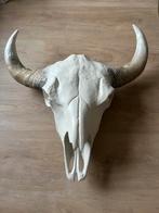 Wand decoratie buffel kop/schedel, Huis en Inrichting, Ophalen, Gebruikt
