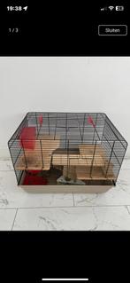 Kooi voor vogel of hamster bijne niew, Minder dan 60 cm, Kooi, Minder dan 75 cm, Ophalen of Verzenden