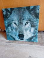 Wandbord wolf, Minder dan 50 cm, Ophalen of Verzenden, Zo goed als nieuw, Schilderij