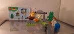 Duplo Dino Set, Kinderen en Baby's, Speelgoed | Duplo en Lego, Ophalen of Verzenden, Gebruikt, Losse stenen, Duplo