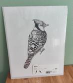 Ikea poster vogel in folie Nieuw, Huis en Inrichting, Woonaccessoires | Schilderijen, Tekeningen en Foto's, Ophalen of Verzenden