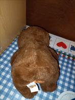 Luiaard knuffel Jafri Toys 26 cm groot, Ophalen of Verzenden, Zo goed als nieuw, Overige typen