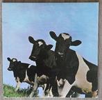 Pink Floyd, Verzenden, Gebruikt, 12 inch, Progressive
