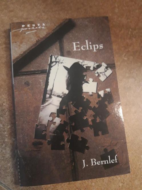 J.Bernlef - Eclipse, Boeken, Literatuur, Gelezen, Nederland, Ophalen of Verzenden