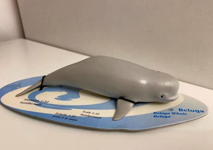Schleich Beluga ~ 16072, Verzamelen, Dierenverzamelingen, Ophalen of Verzenden