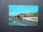 Koudekerke, strand bedrijf Kontiki, paarden, Verzenden, 1980 tot heden, Zuid-Holland