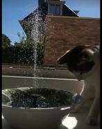 Solar fontein met UNIEKE water stablisoren ‼️, Ophalen of Verzenden, Nieuw, Kunststof, Fontein