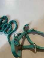 Groen halster + touw, Dieren en Toebehoren, Paarden en Pony's | Hoofdstellen en Tuigage, Ophalen of Verzenden