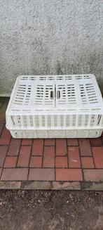Te koop een dieren transport krat, Dieren en Toebehoren, Mannelijk, Postduif