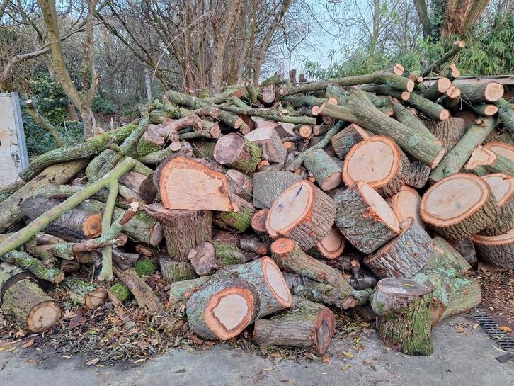 Hoogwaardig Houthaardhout, Tuin en Terras, Haardhout, Takken, Overige houtsoorten, Minder dan 3 m³, Ophalen