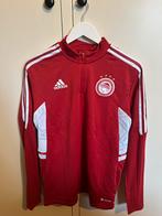 Voetbalshirt origineel Olympiacos 2022/23 Maat L, Ophalen of Verzenden, Zo goed als nieuw, Buitenlandse clubs, Shirt