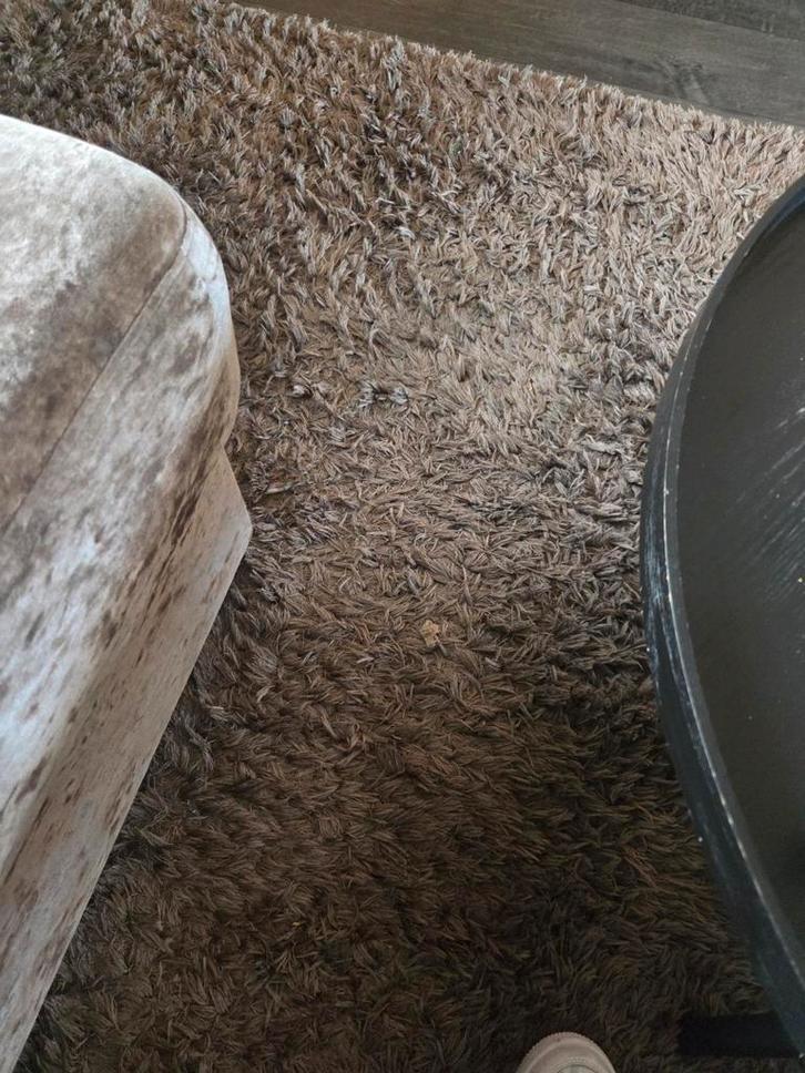 Taupe vloerkleed - Zacht en Stijlvol!, Huis en Inrichting, Stoffering | Tapijten en Kleden, Gebruikt, 100 tot 150 cm, 150 tot 200 cm