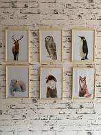 6 schilderijen van dieren, laten maken voor kinder kamer, Ophalen of Verzenden, Zo goed als nieuw