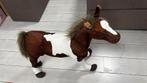 Paard, Ophalen, Gebruikt, Paard