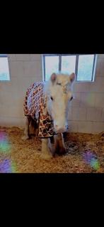 2 lieve pony's zoeken 2 lieve verzorgsters, Dieren en Toebehoren, Ophalen, Nieuw
