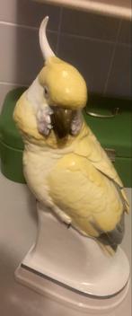 Art Deco Porseleinen Kaketoe -karl ens papegaai porzellan, Ophalen of Verzenden