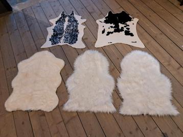 NIEUW Vacht Vachtje Schapenvacht Koeienvacht Vloer Kleed 
 beschikbaar voor biedingen