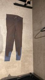 Paardrijbroek maat 36, Ophalen of Verzenden, Zo goed als nieuw, Overige soorten, Onderkleding