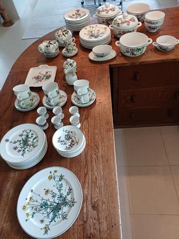 Villeroy&Boch Botanica 69-delig Servies beschikbaar voor biedingen