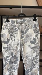 Cambio  Parla short maat D36 nieuw stretch, Nieuw, Ophalen of Verzenden, Maat 36 (S), Lang