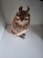 Nieuw Intratuin kerstfiguur Euli Uil Bruin, Diversen, Kerst, Ophalen of Verzenden, Nieuw