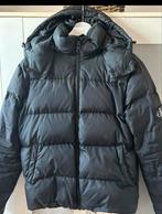 Calvin Klein gewatteerde jas - Maat XS, Calvin Klein, Zwart, Ophalen of Verzenden, Zo goed als nieuw