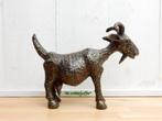 033* Bronzen geit klein(Boven €75 geen verzendkosten), Ophalen of Verzenden, Nieuw, Overige materialen, Dierenbeeld