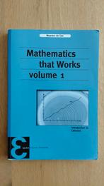 ZGAN Mathematics that Works Volume 1 ISBN 9789050411677, Ophalen, WO, Zo goed als nieuw, Maarten de Gee