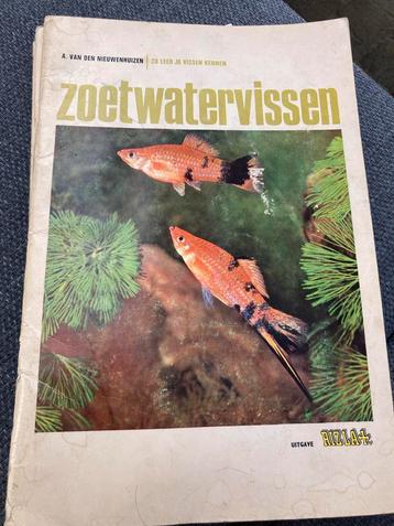 Zoetwatervissen - Zo leer je vissen kennen beschikbaar voor biedingen