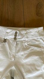 Mooie Pikeur rijbroek maat 40 wit, Ophalen of Verzenden, Zo goed als nieuw, Dressuur, Onderkleding